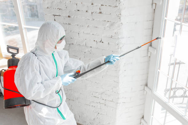 Best Industrial Mold Remediation in Fulda, MN